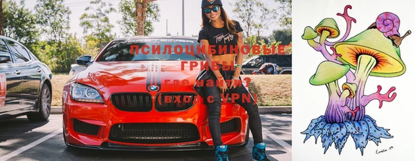 стаф Баксан