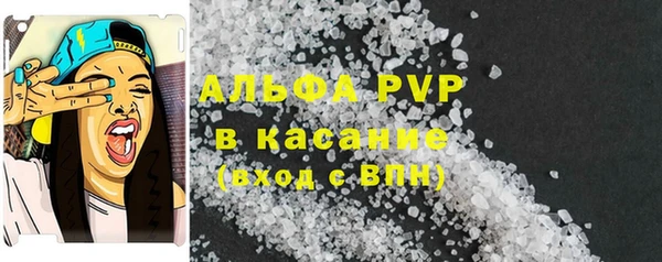 стаф Баксан