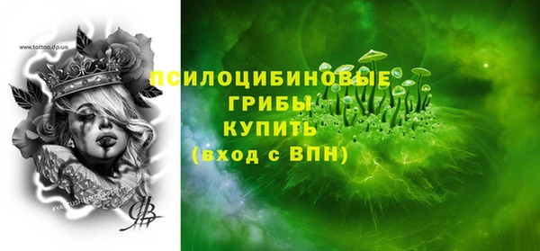 стаф Баксан