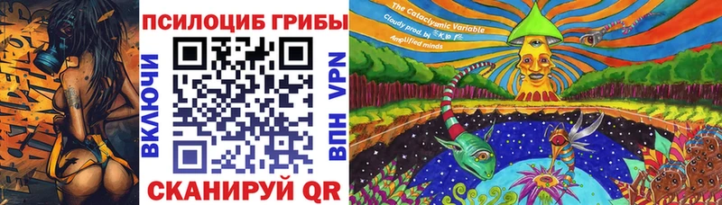 Галлюциногенные грибы Cubensis  KRAKEN онион  Богородск  что такое наркотик 